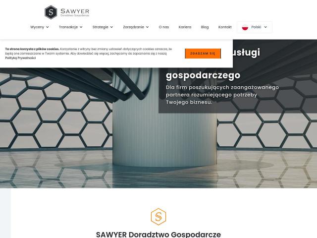 https://www.sawyer.com.pl/